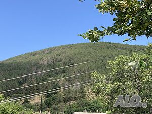 image_7