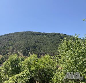 image_10