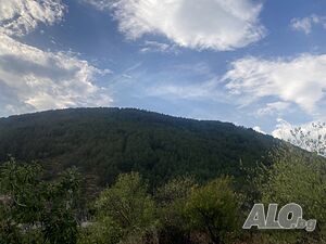 image_20