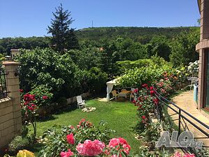image_14