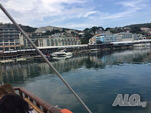 image_18