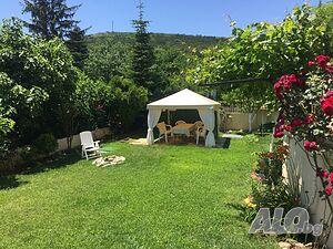 image_19