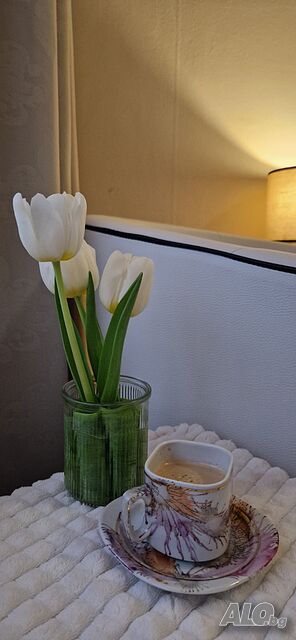 image_11