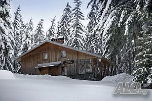 Къщи за гости Вила Елица Пампорово