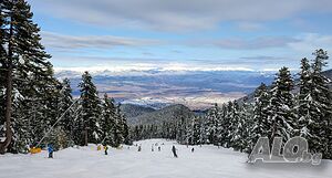 image_41