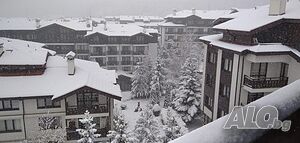 image_24