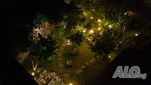 image_7
