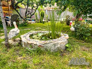 image_15