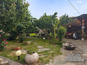 image_18