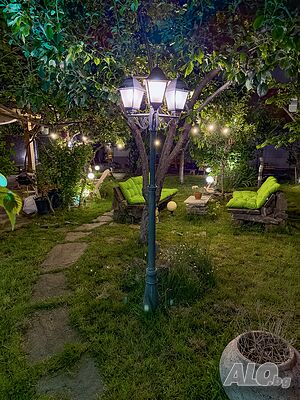 image_8