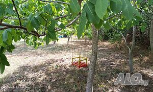 image_16