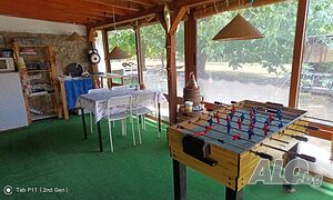 image_19