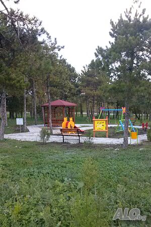 image_43