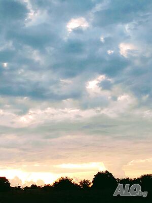 image_46