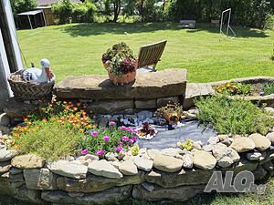 image_11