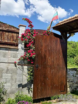 image_12
