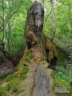 image_36
