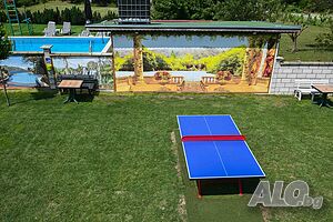image_38