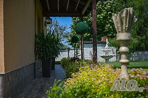 image_49