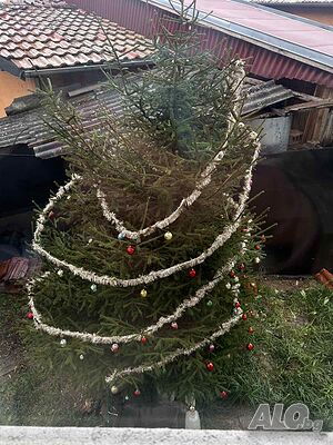 image_27