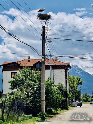 image_20