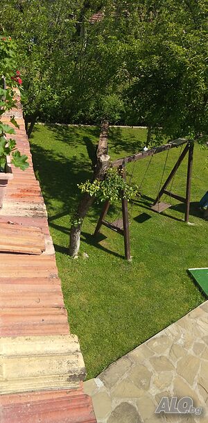 image_19
