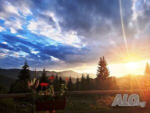 image_39