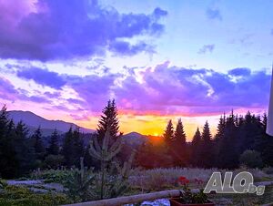 image_40