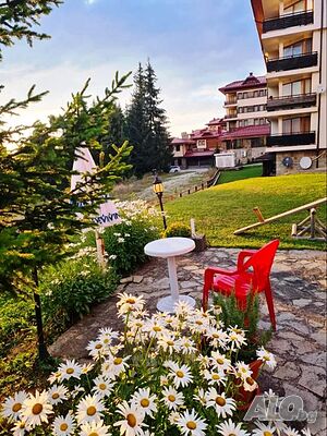 image_44