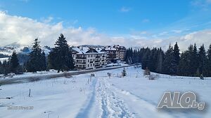 image_25