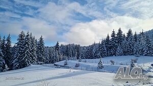 image_21