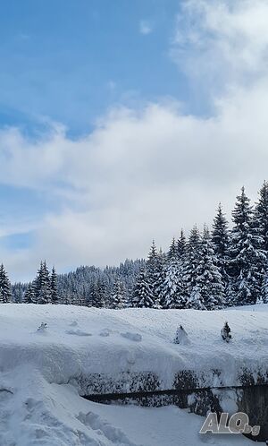 image_35