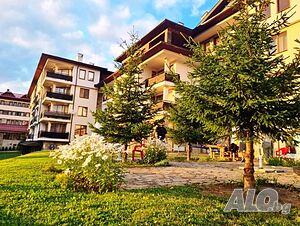 image_40