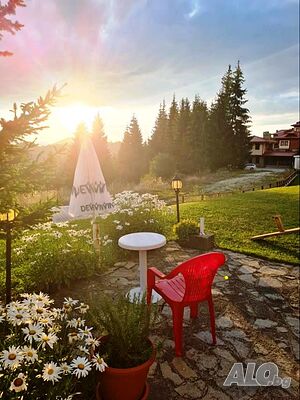 image_41