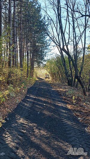 image_3