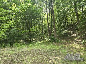 image_3