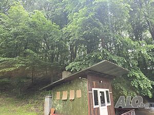 image_19
