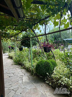 image_21