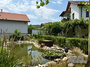 image_26