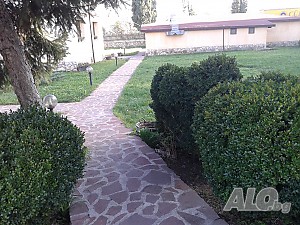 image_11