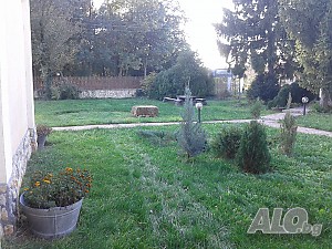 image_12