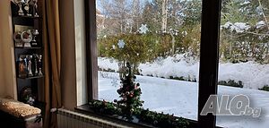 image_22