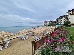 image_14