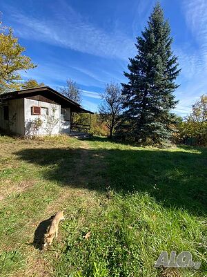 image_11