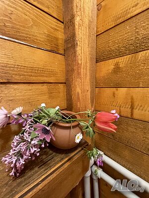 image_21