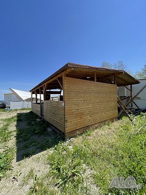 image_34