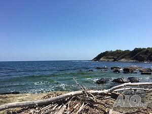 image_9