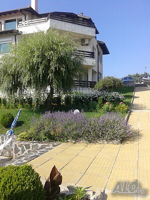 image_21