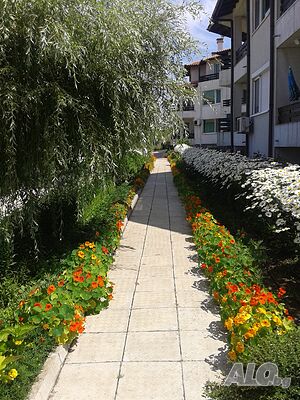 image_31