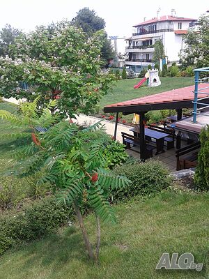 image_35